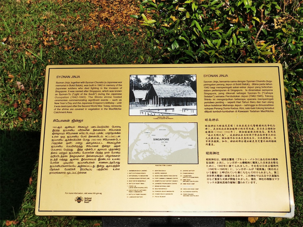 f:id:Paulinasg:20210514171704j:image