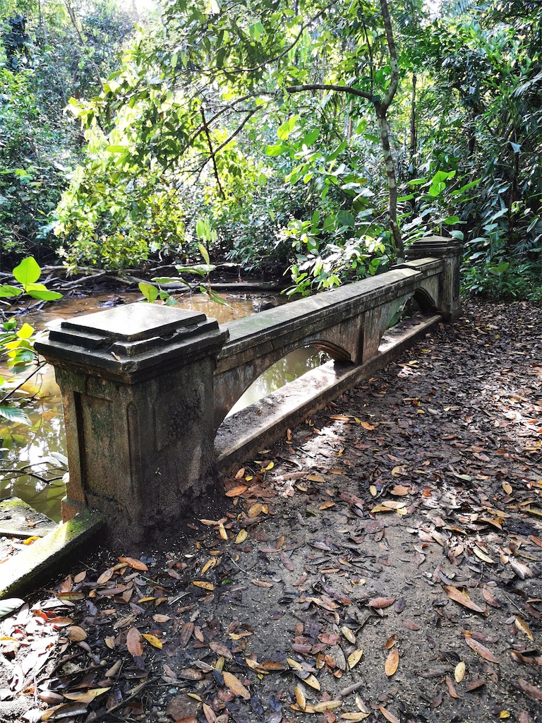 f:id:Paulinasg:20210514171709j:image