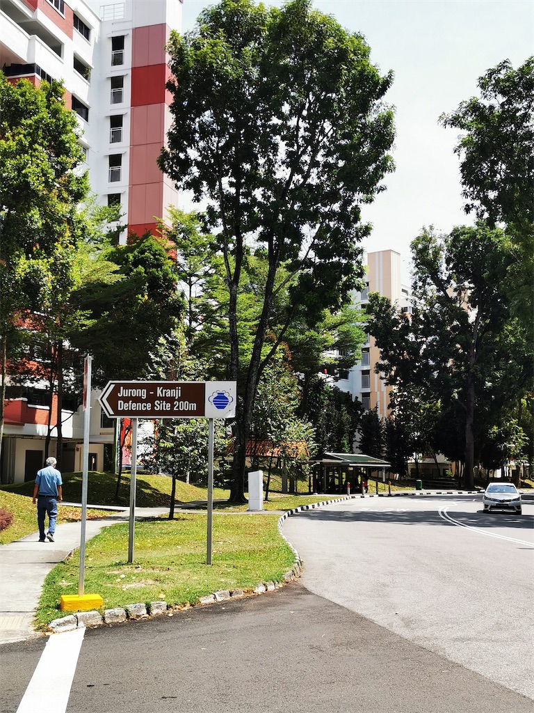 f:id:Paulinasg:20210517125851j:image