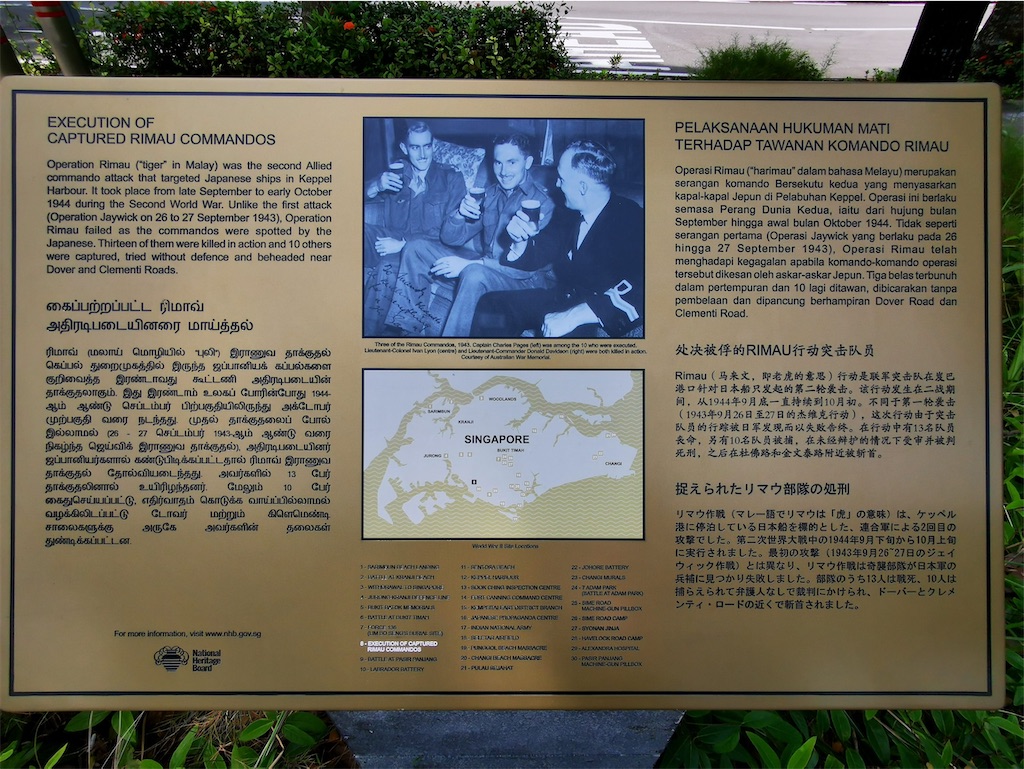 f:id:Paulinasg:20210517131111j:image