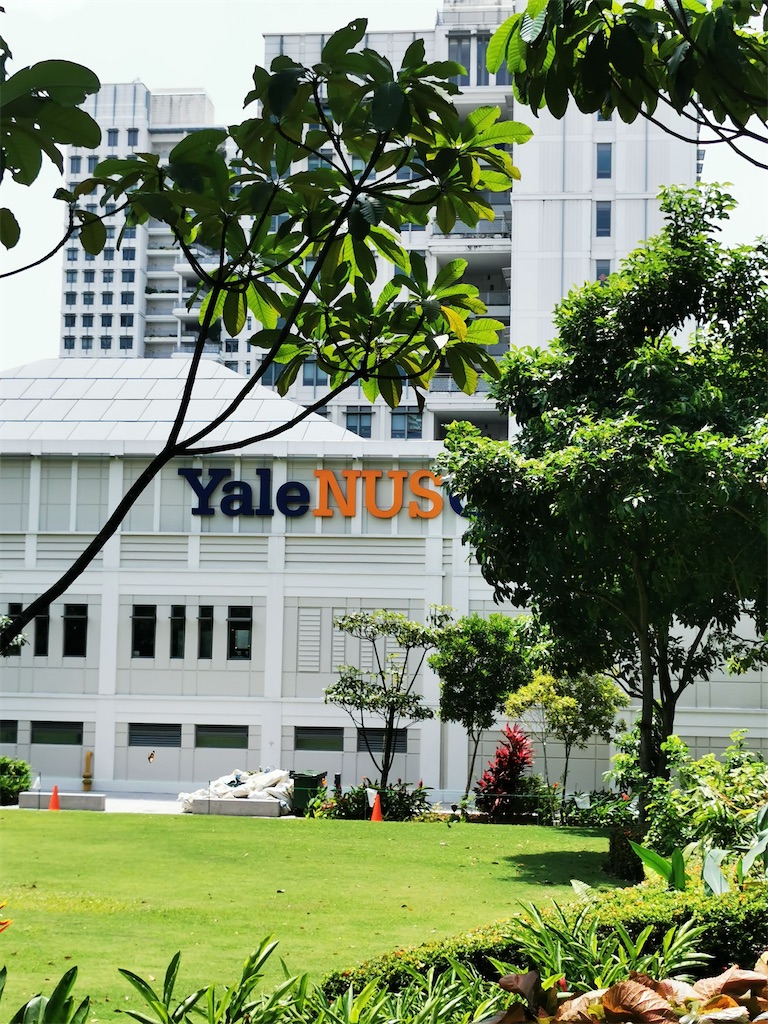 f:id:Paulinasg:20210517131121j:image