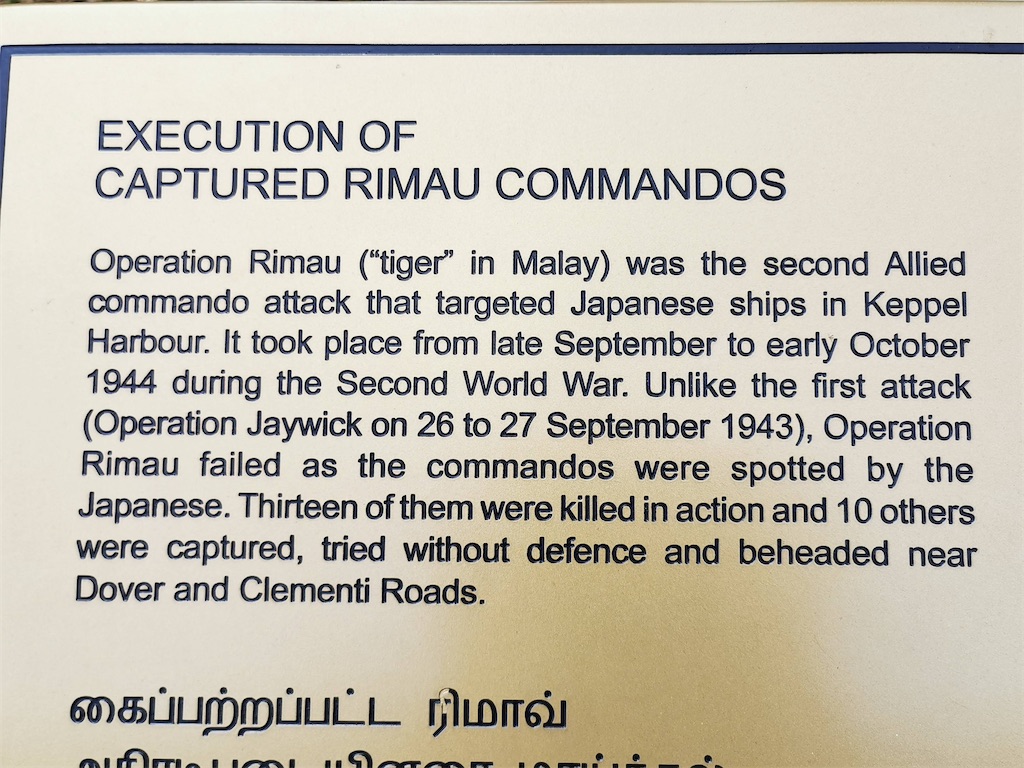 f:id:Paulinasg:20210517131126j:image