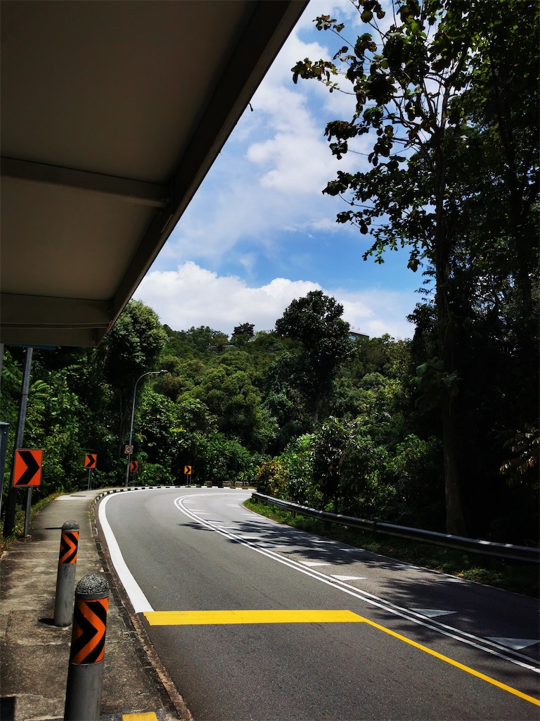 f:id:Paulinasg:20220104145804j:image