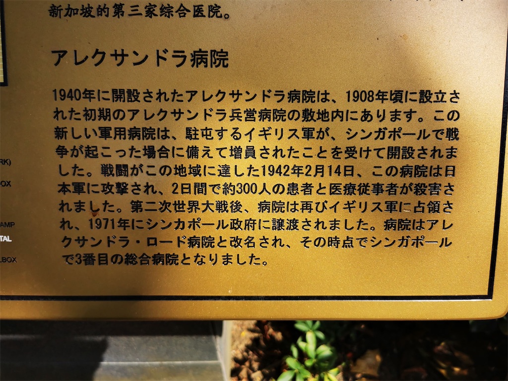 f:id:Paulinasg:20220104145815j:image