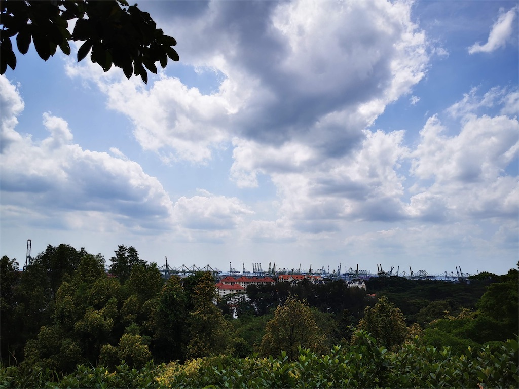 f:id:Paulinasg:20220104145819j:image