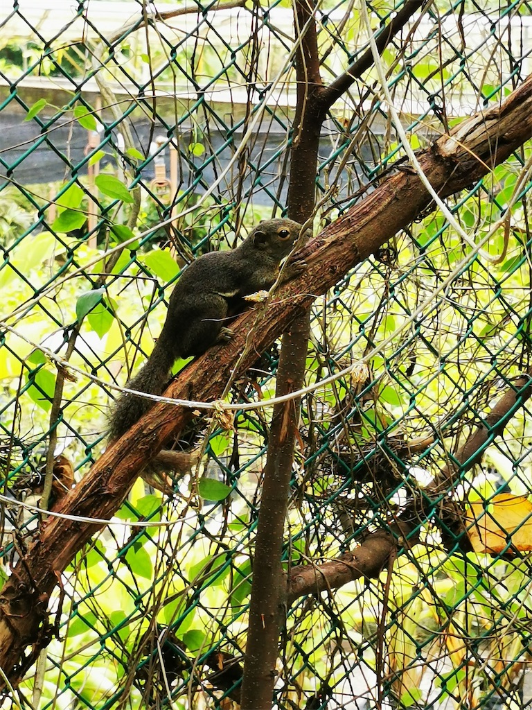 f:id:Paulinasg:20220104145824j:image