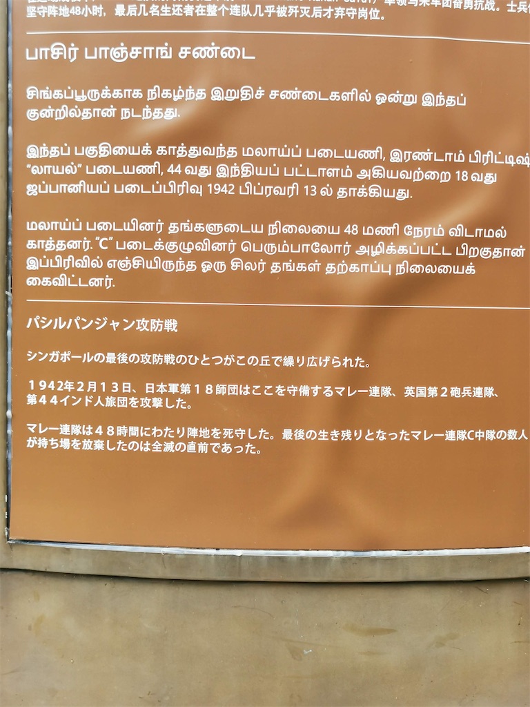 f:id:Paulinasg:20220104145827j:image