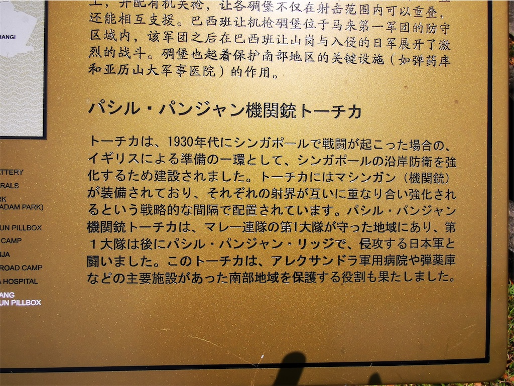 f:id:Paulinasg:20220104145833j:image