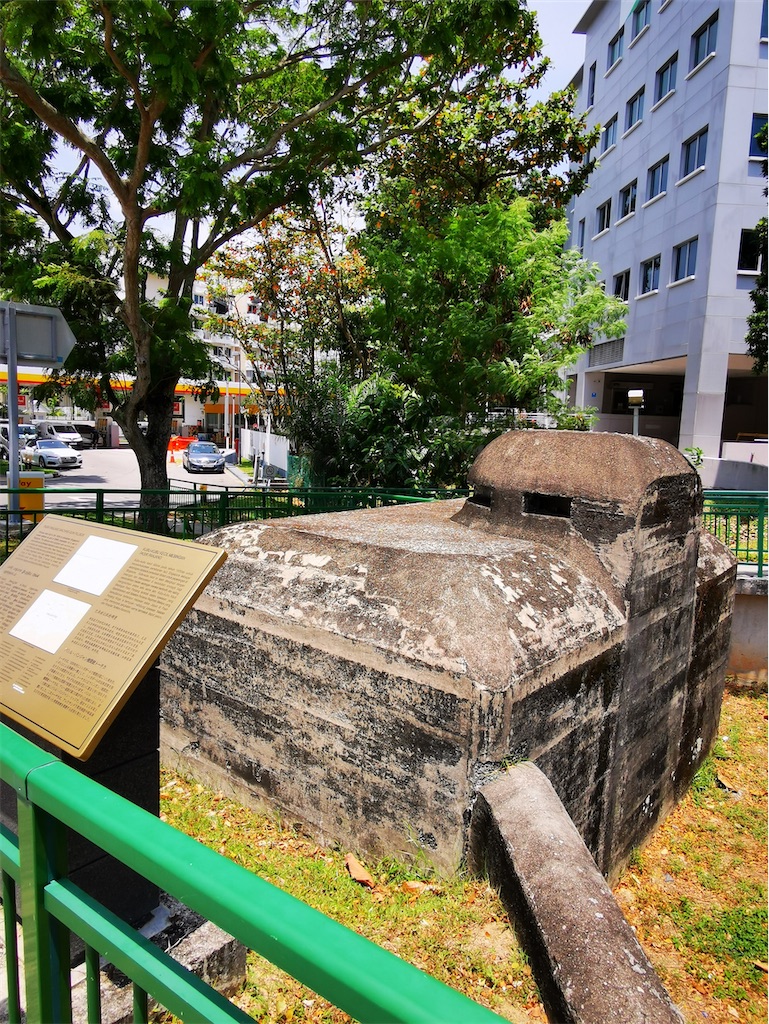 f:id:Paulinasg:20220104145836j:image