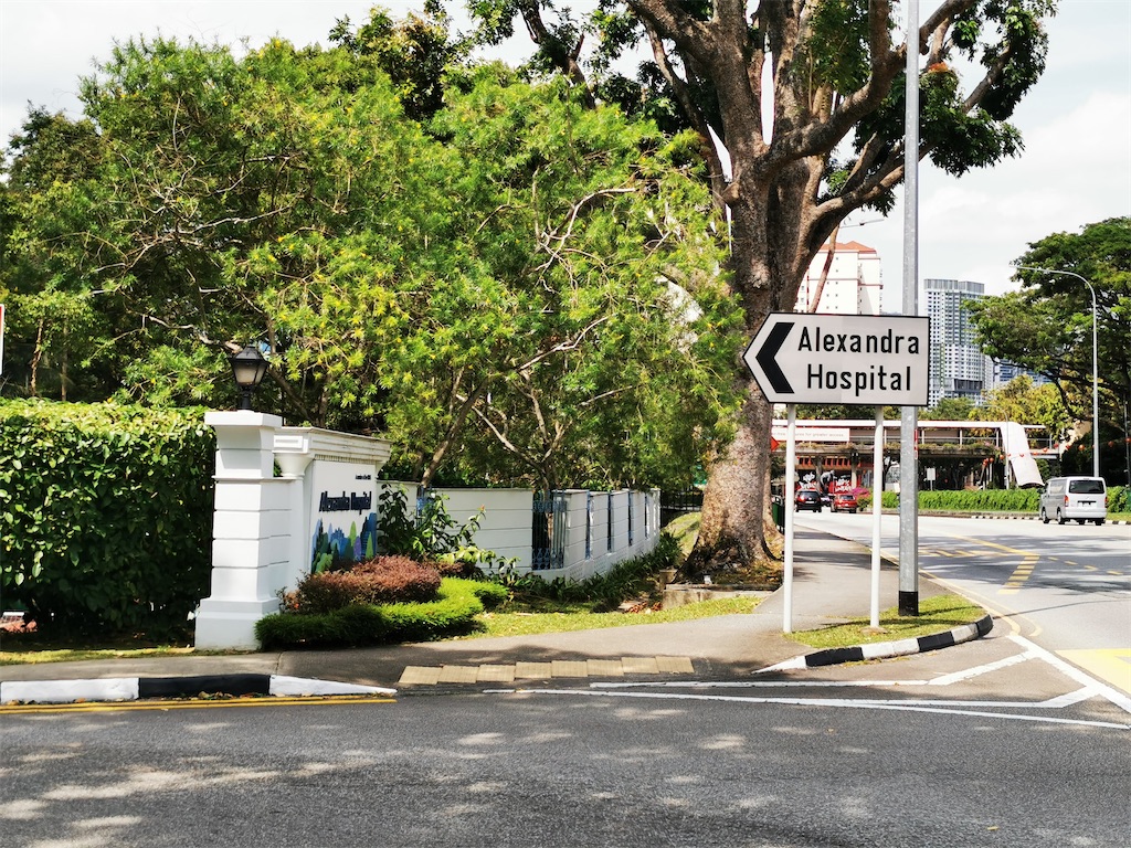 f:id:Paulinasg:20220104145841j:image