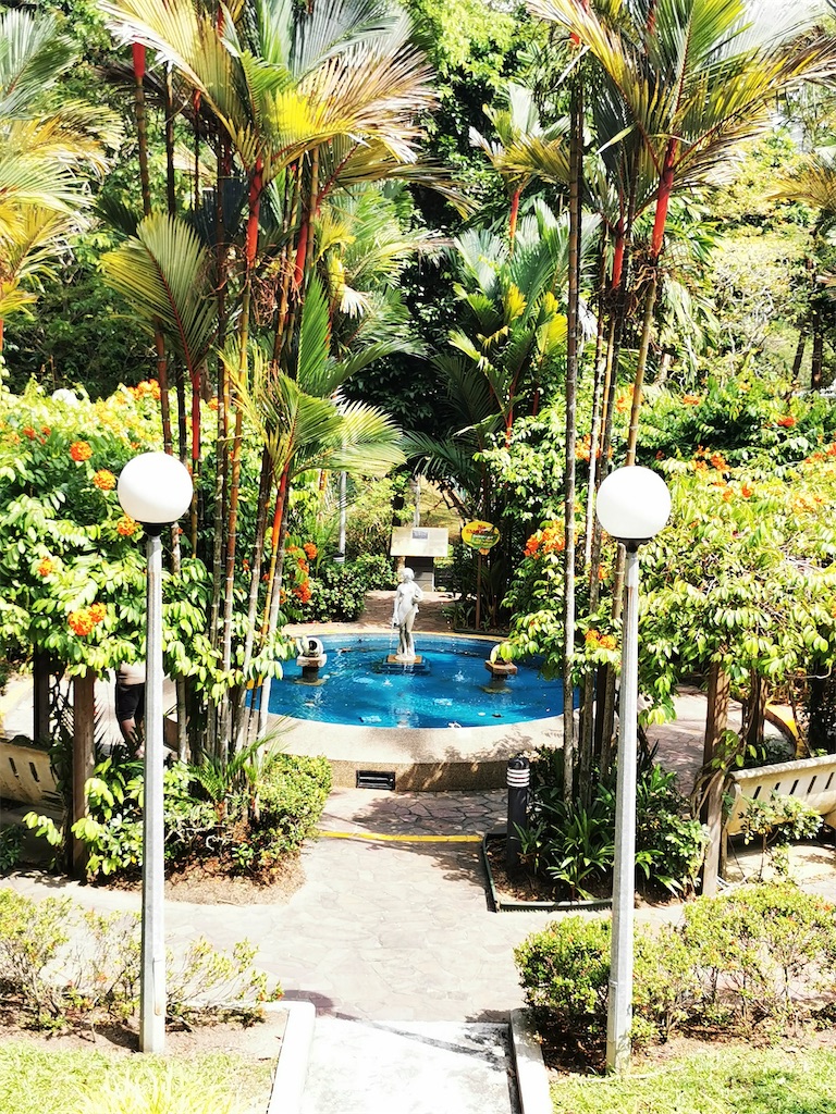 f:id:Paulinasg:20220104145844j:image