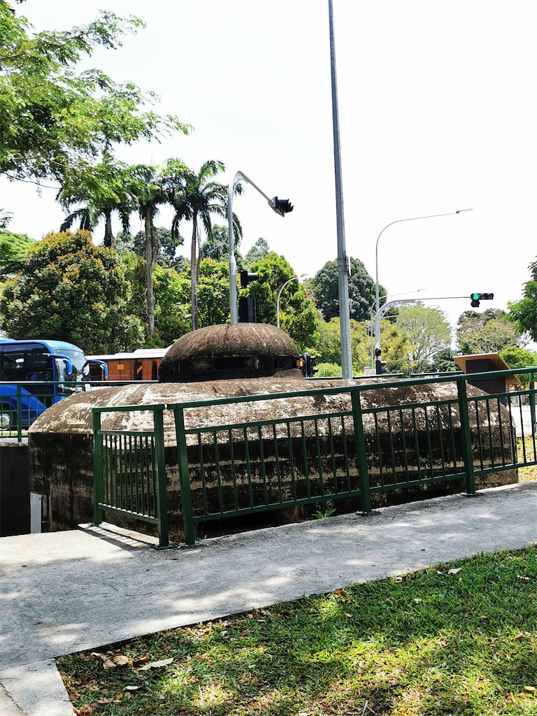 f:id:Paulinasg:20220104145848j:image