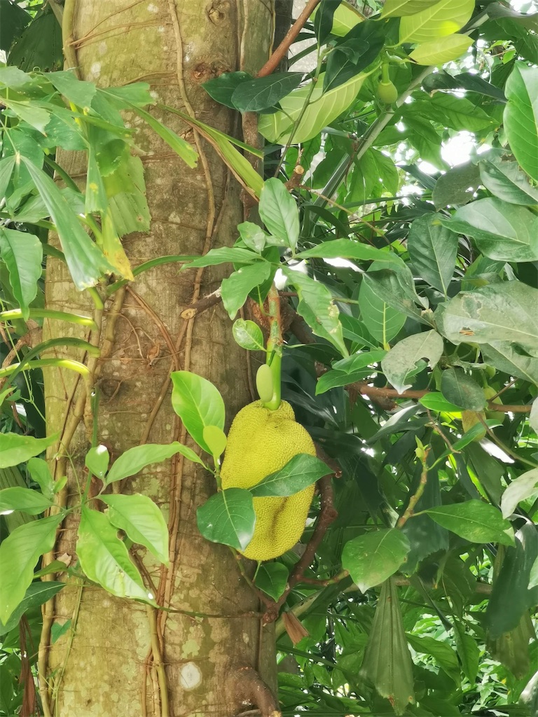 f:id:Paulinasg:20220104145851j:image