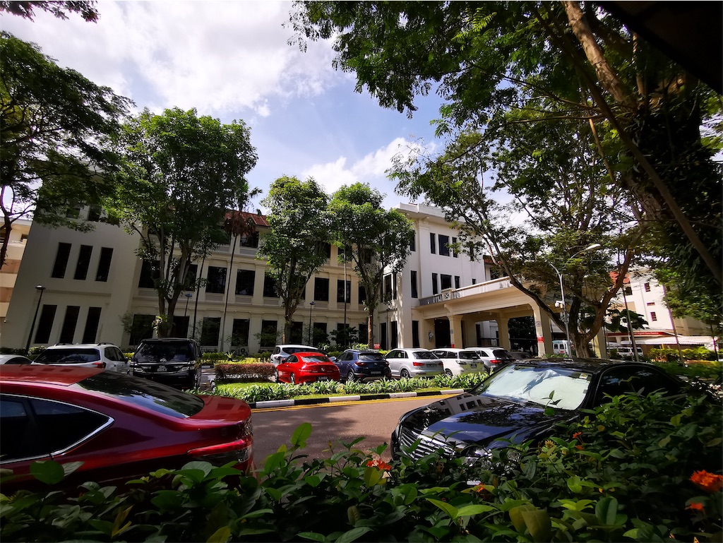 f:id:Paulinasg:20220104145853j:image