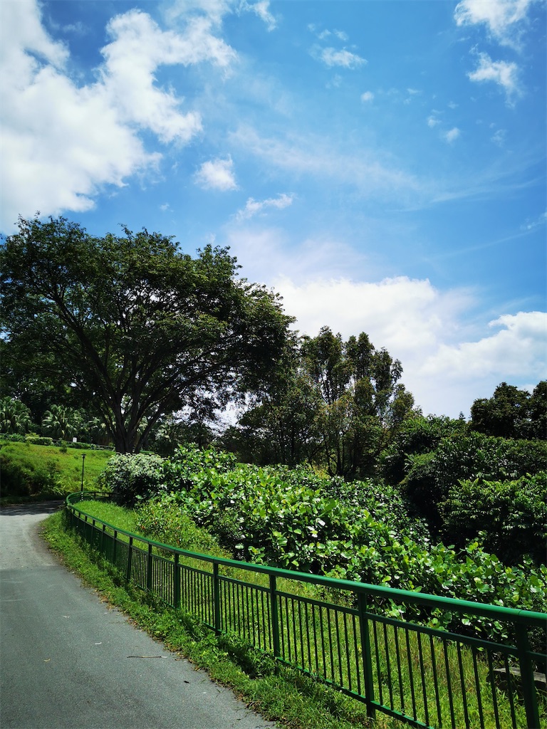 f:id:Paulinasg:20220104145906j:image