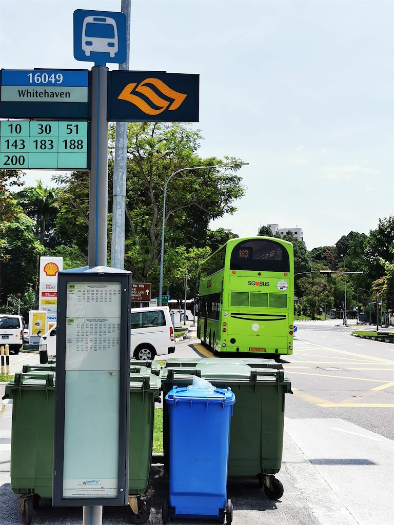 f:id:Paulinasg:20220104145924j:image