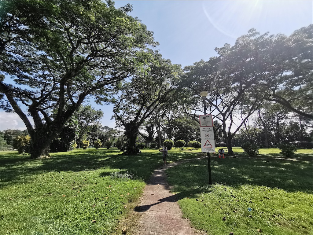 f:id:Paulinasg:20220104162458j:image