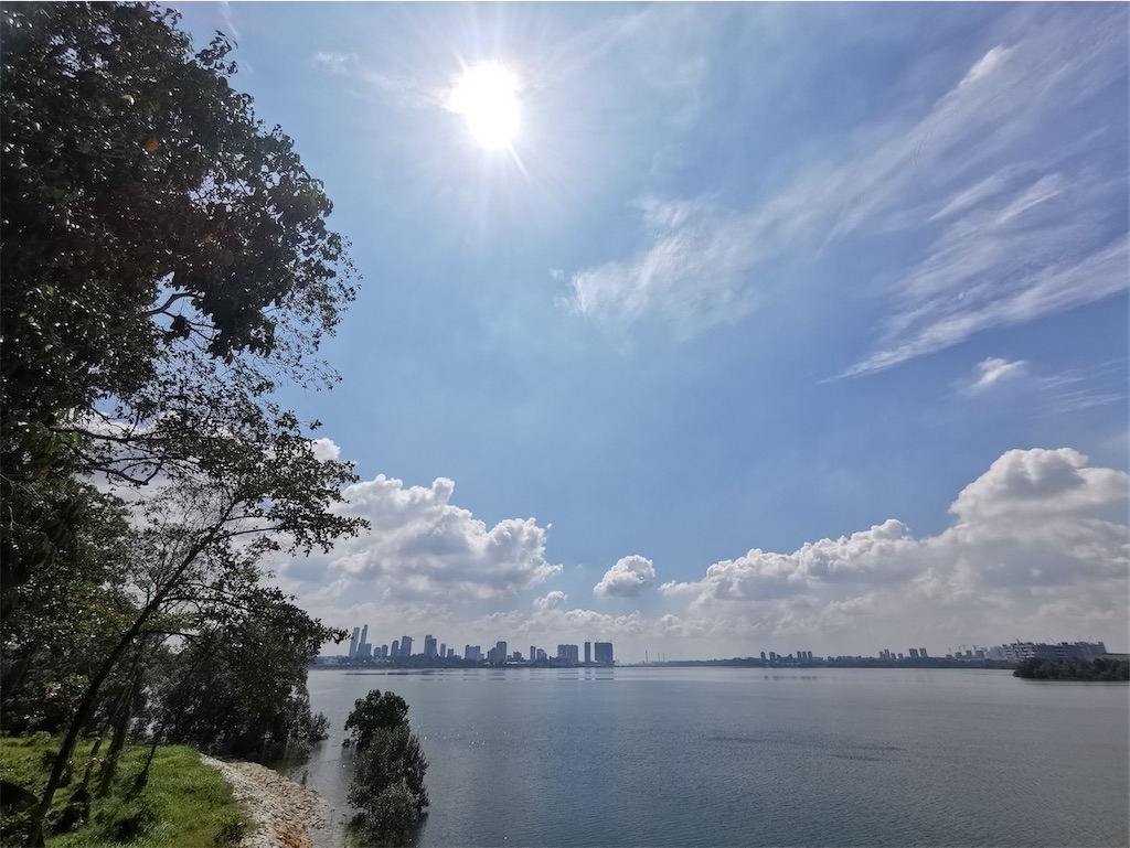 f:id:Paulinasg:20220104162502j:image