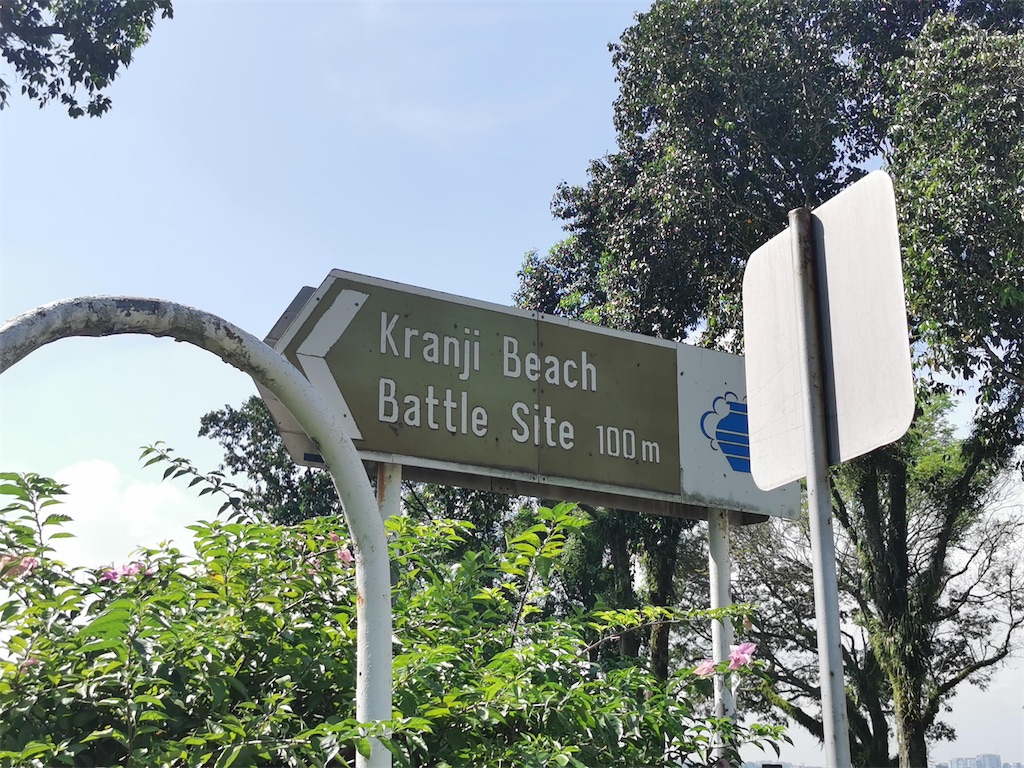 f:id:Paulinasg:20220104162508j:image