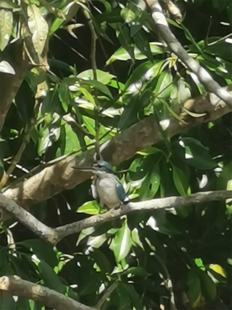 f:id:Paulinasg:20220104162511j:image