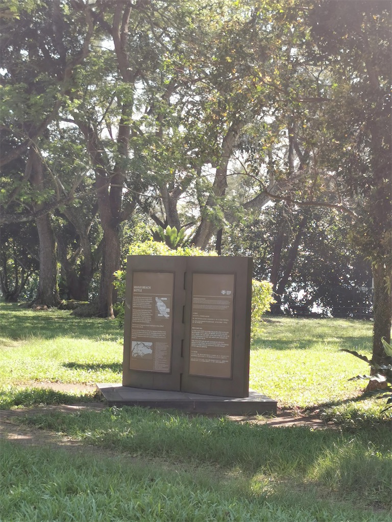 f:id:Paulinasg:20220104162517j:image