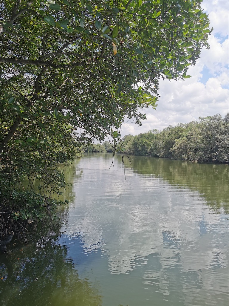 f:id:Paulinasg:20220104162520j:image