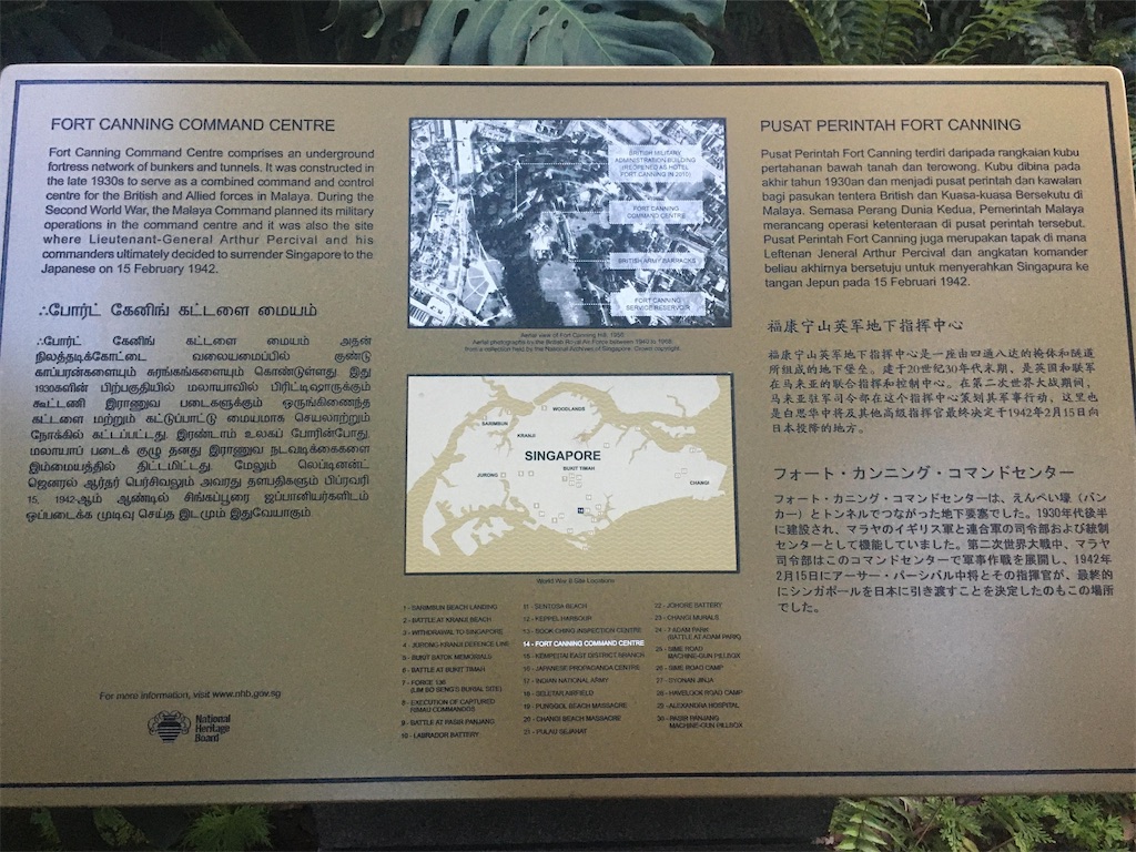 f:id:Paulinasg:20220105163015j:image