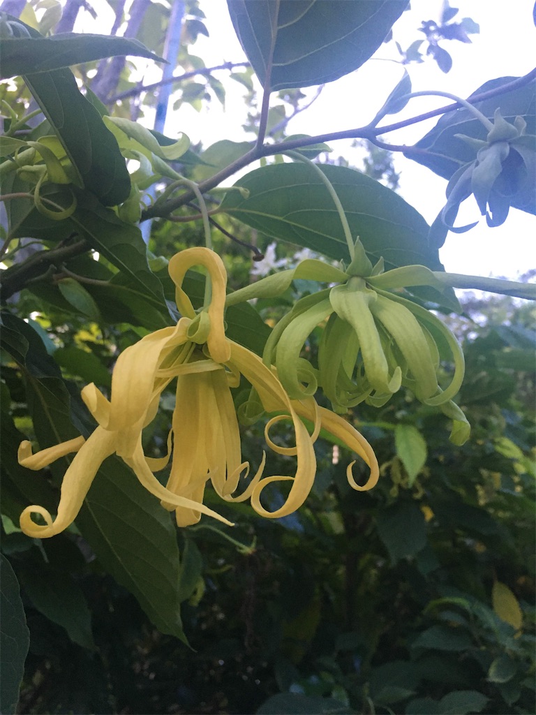 f:id:Paulinasg:20220105163018j:image