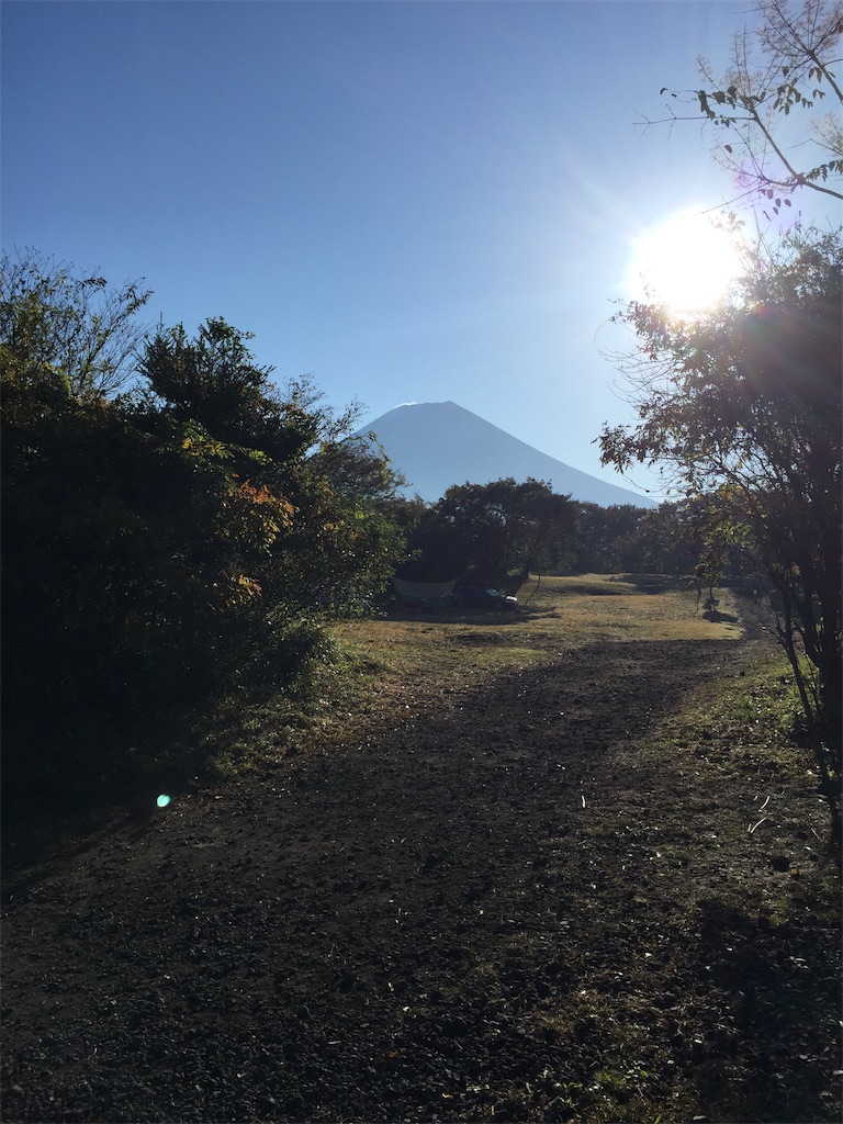 f:id:Peddy_Camp:20190108204302j:image