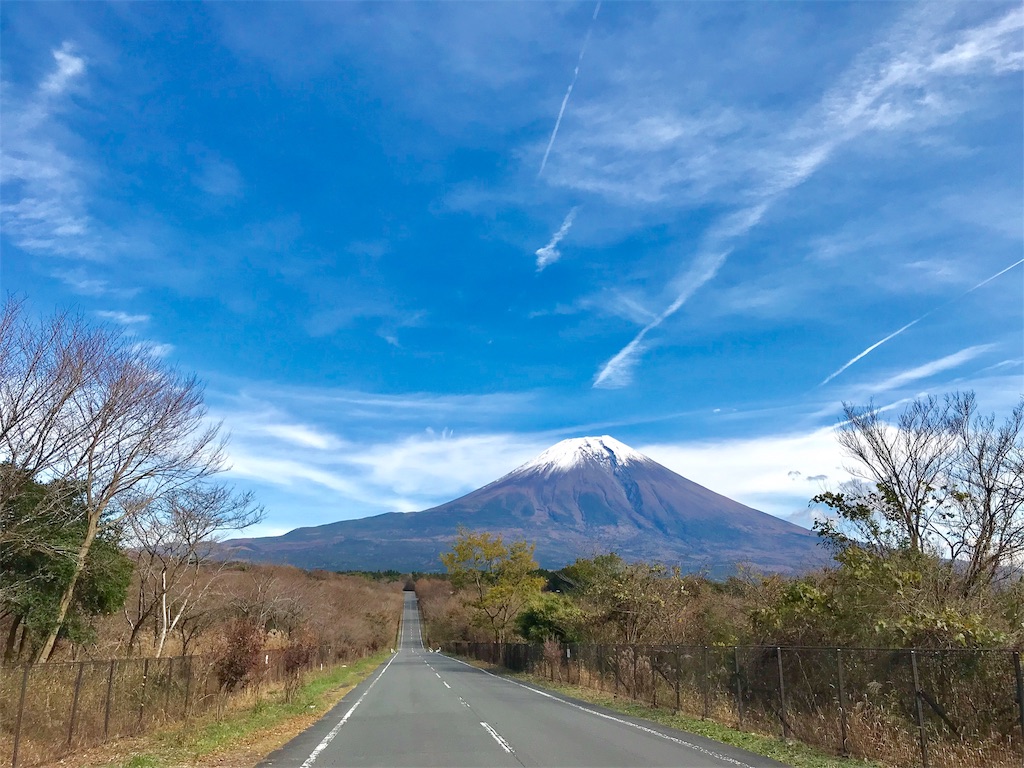 f:id:Peddy_Camp:20190108235231j:image