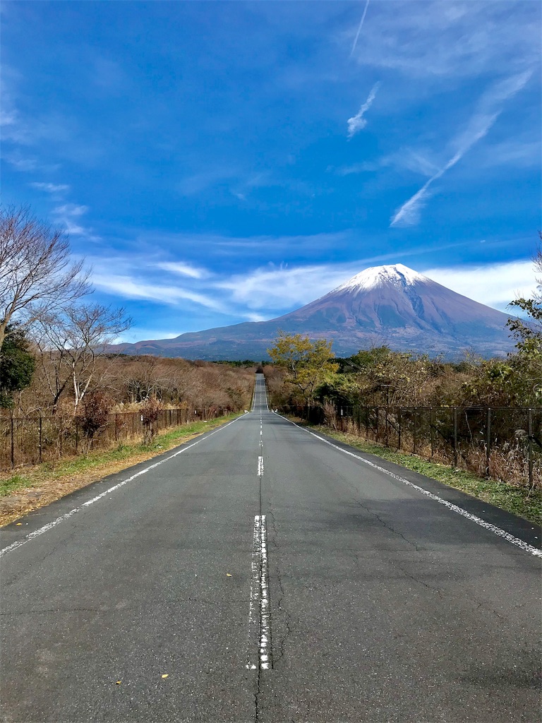 f:id:Peddy_Camp:20190108235236j:image