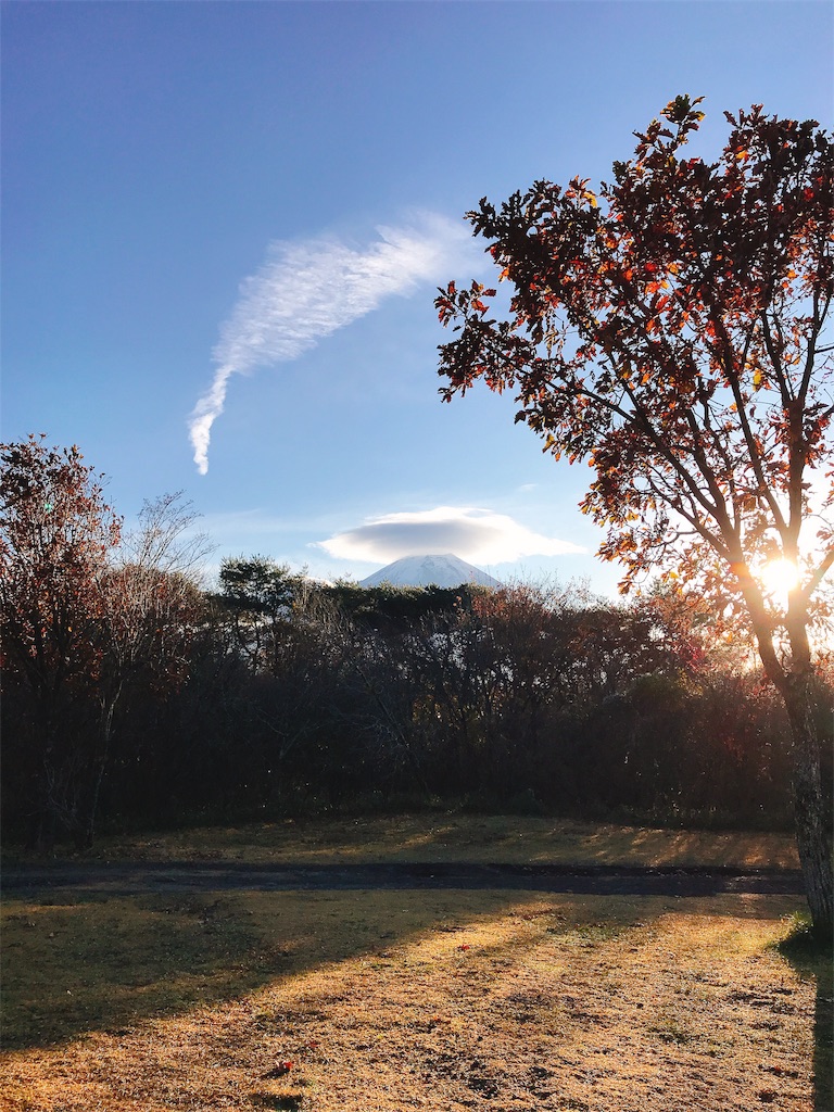 f:id:Peddy_Camp:20190110194053j:image