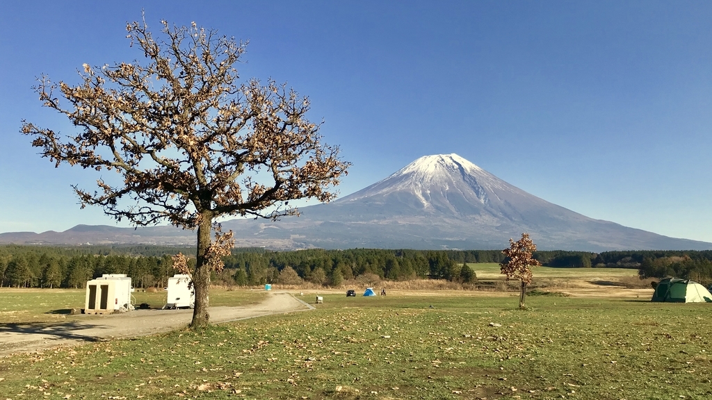f:id:Peddy_Camp:20190117145045j:plain f:id:Peddy_Camp:20190117145045j:plain