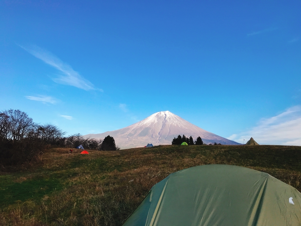 f:id:Peddy_Camp:20190121230039j:plain f:id:Peddy_Camp:20190121230039j:plain