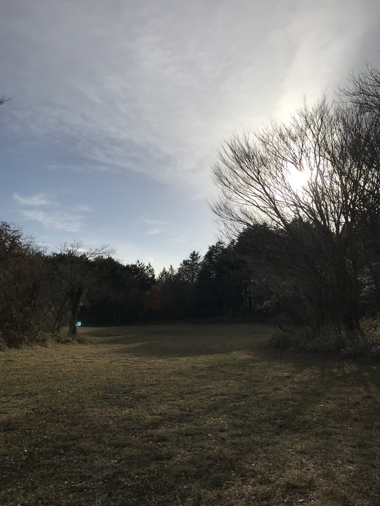 f:id:Peddy_Camp:20190122204259j:plain f:id:Peddy_Camp:20190122204259j:plain