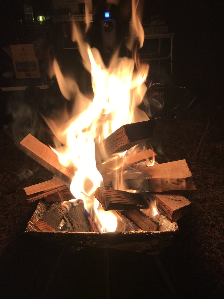 f:id:Peddy_Camp:20190123160929j:plain f:id:Peddy_Camp:20190123160929j:plain
