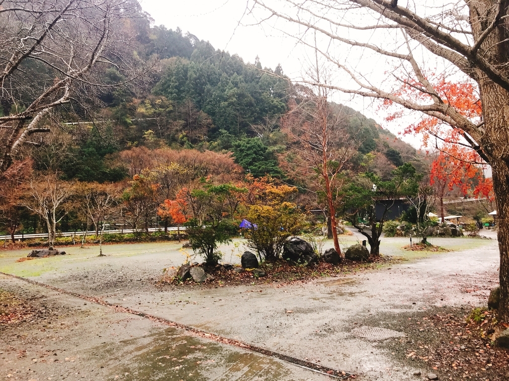 f:id:Peddy_Camp:20190129162740j:plain f:id:Peddy_Camp:20190129162740j:plain