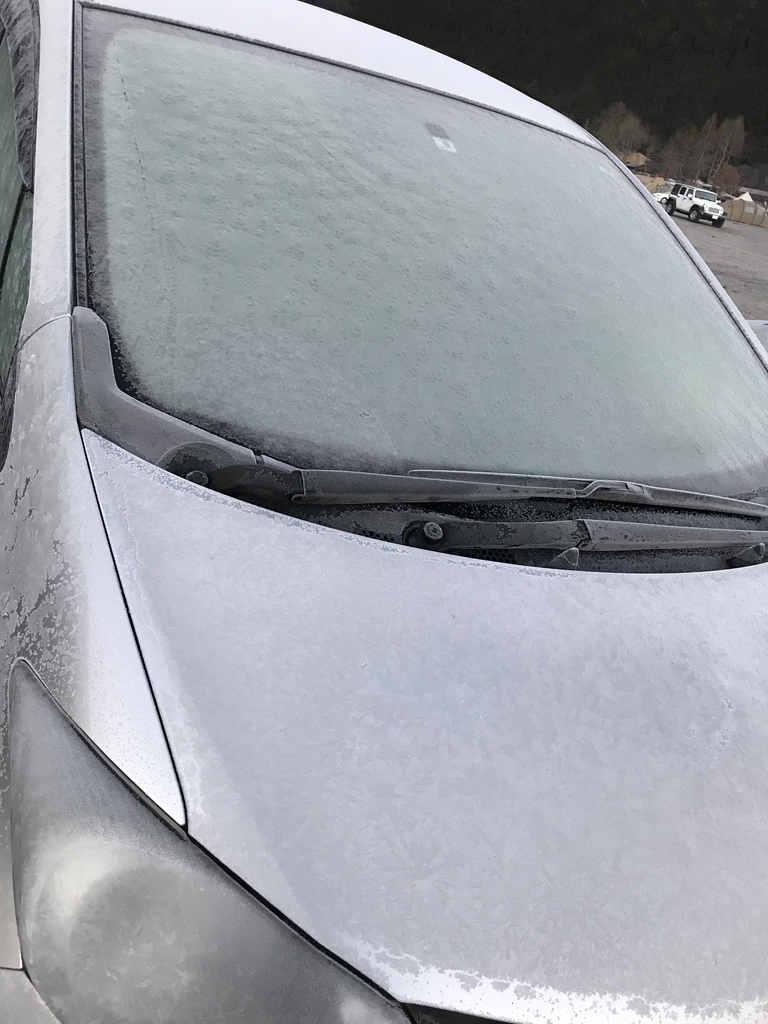 f:id:Peddy_Camp:20190206005459j:plain f:id:Peddy_Camp:20190206005459j:plain