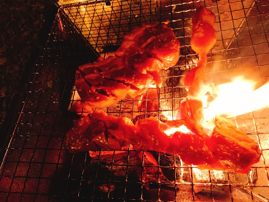 f:id:Peddy_Camp:20190227173739j:plain f:id:Peddy_Camp:20190227173739j:plain