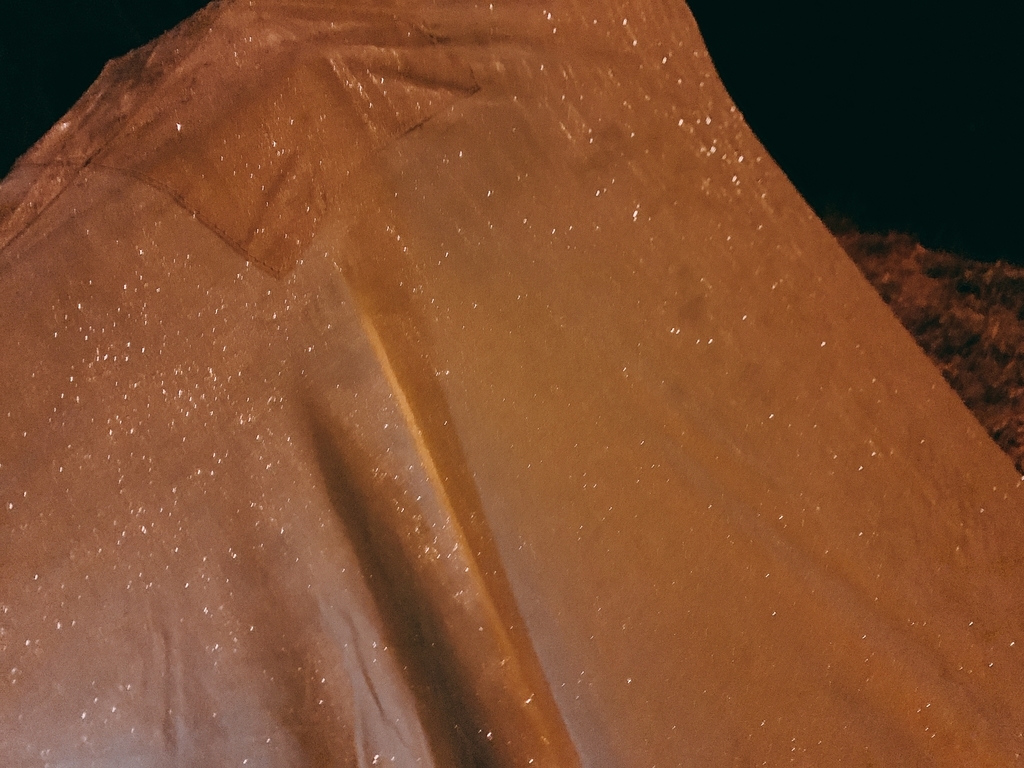 f:id:Peddy_Camp:20190307210636j:plain f:id:Peddy_Camp:20190307210636j:plain