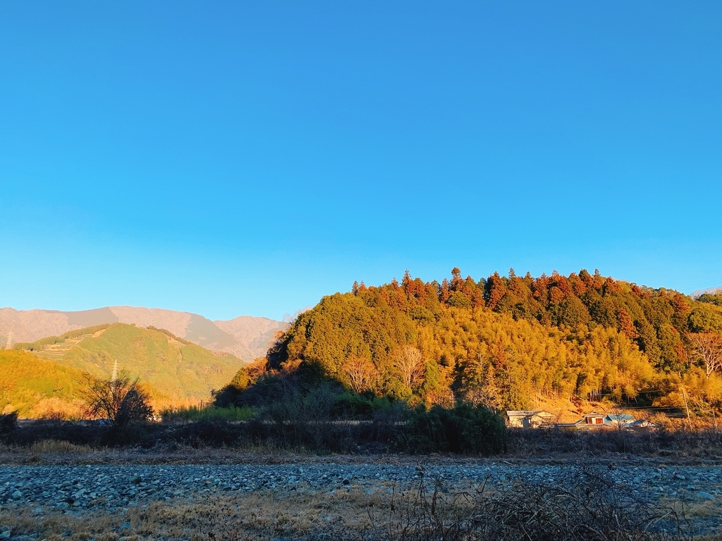 f:id:Peddy_Camp:20190307211311j:plain f:id:Peddy_Camp:20190307211311j:plain