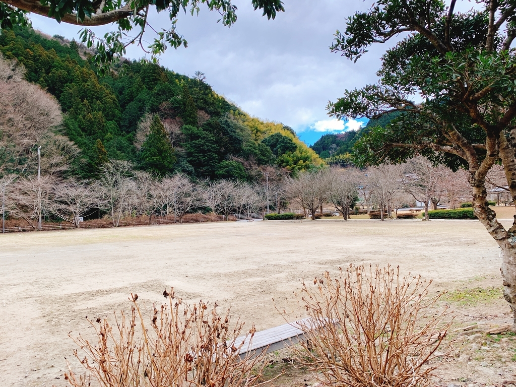 f:id:Peddy_Camp:20190307212508j:plain f:id:Peddy_Camp:20190307212508j:plain