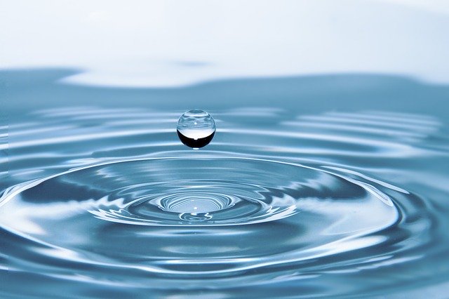 水の入れ替え