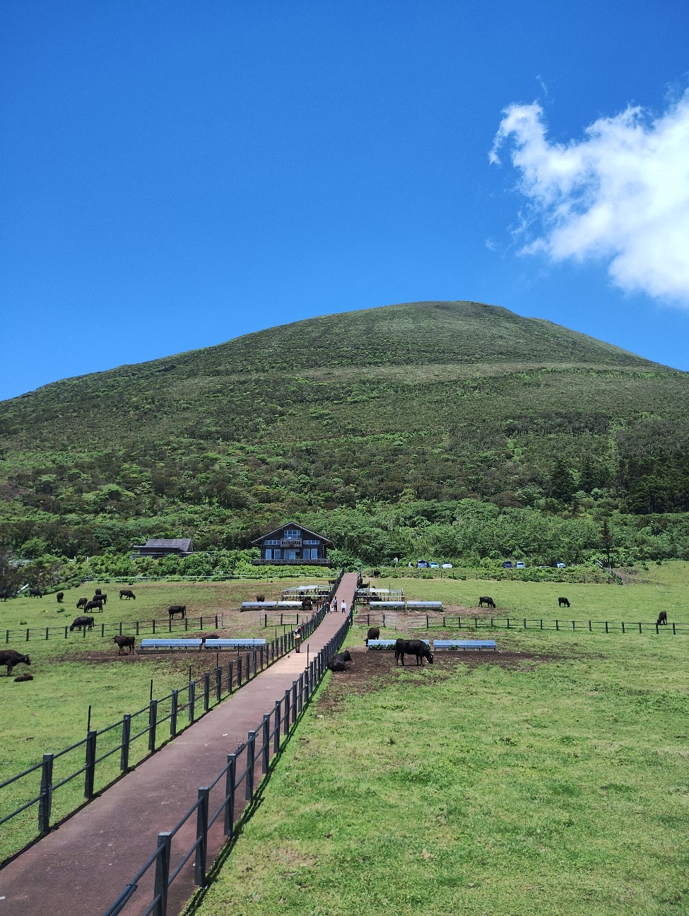f:id:PeepingTom-san:20260530195630j:image