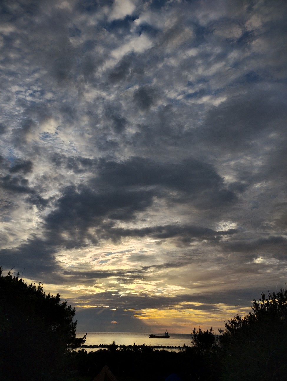 f:id:PeepingTom-san:20260601123058j:image
