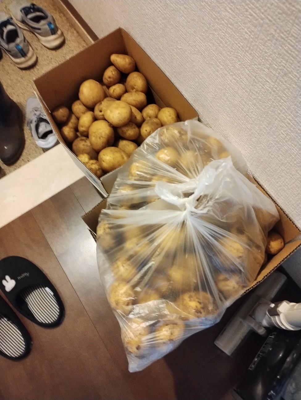 f:id:PeepingTom-san:20260614163814j:image