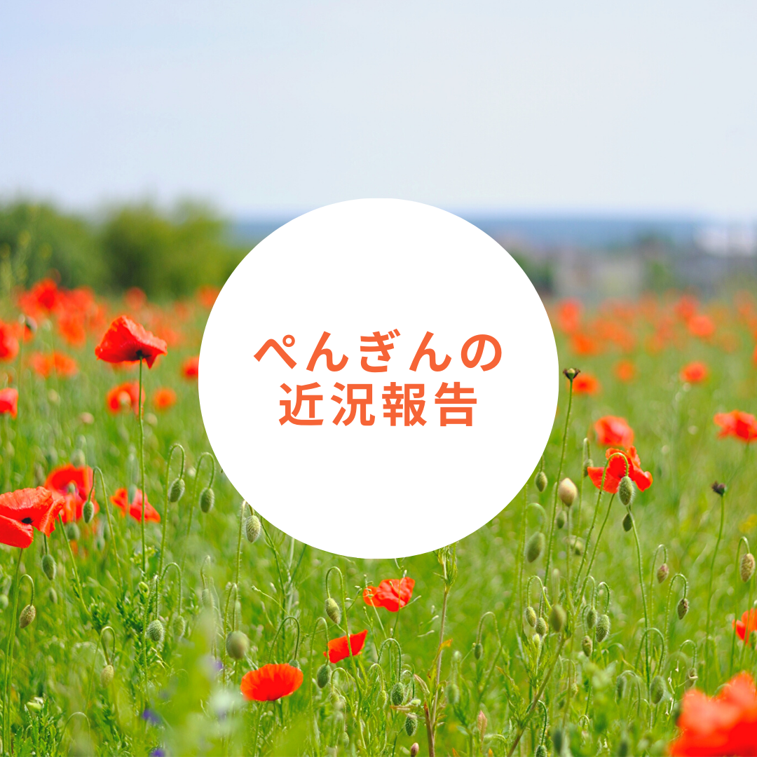 f:id:Pen_Guin:20200218154559p:plain f:id:Pen_Guin:20200218154559p:plain