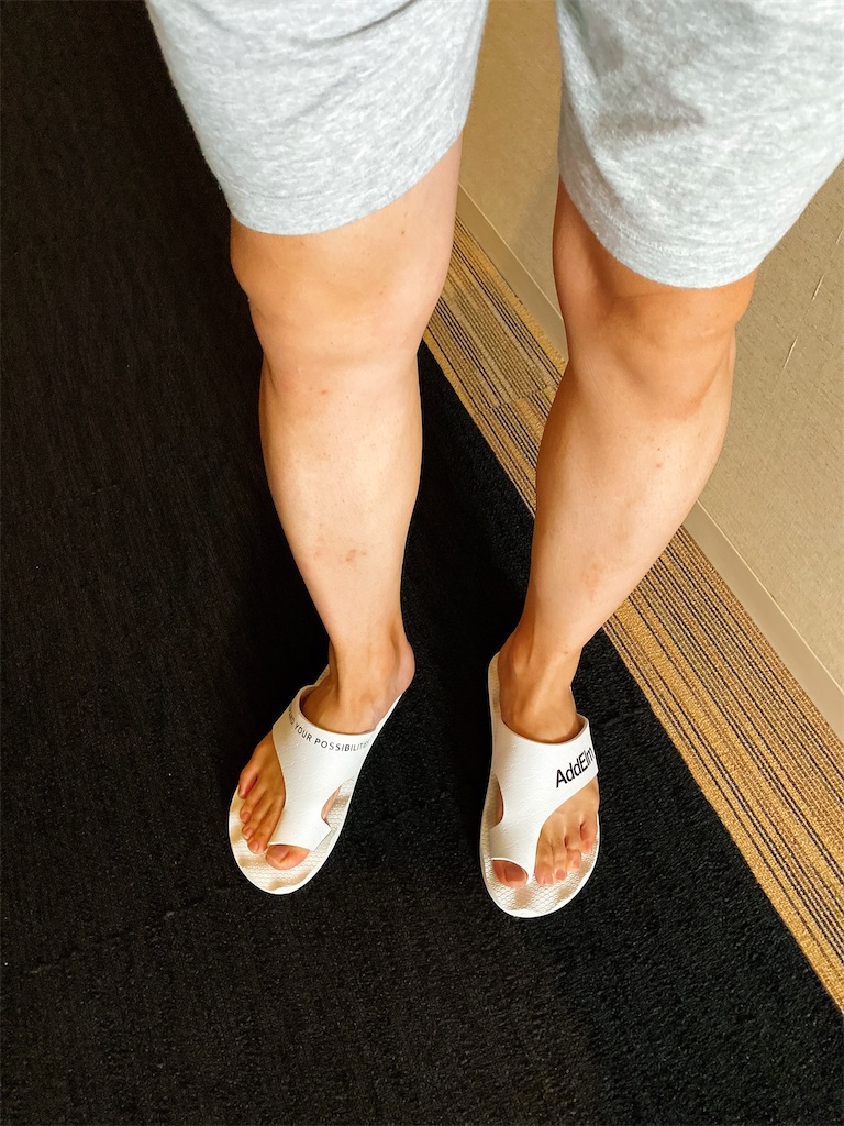 f:id:Penchi:20210805005536j:image f:id:Penchi:20210805005536j:image