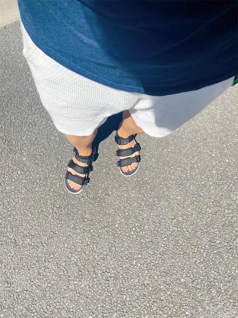 f:id:Penchi:20210806162637j:image f:id:Penchi:20210806162637j:image