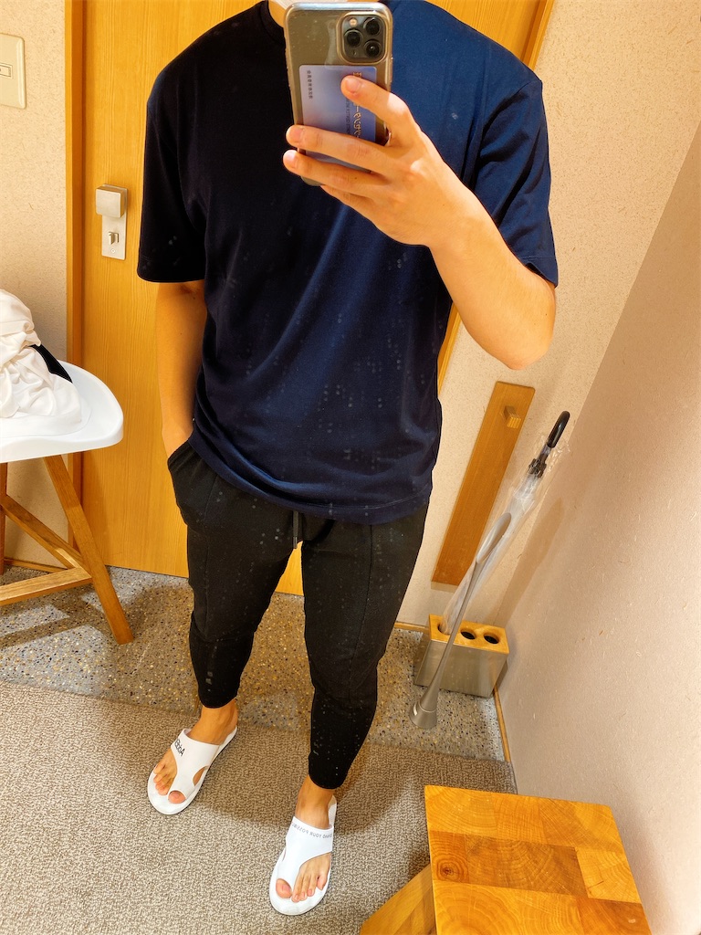 f:id:Penchi:20210815134530j:image f:id:Penchi:20210815134530j:image